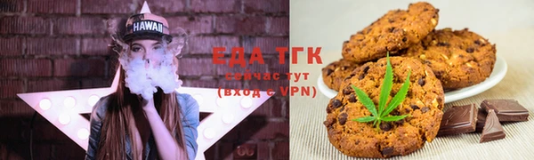 дмт Ельня