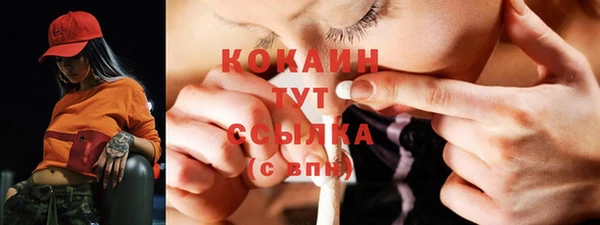 гашик Елизово