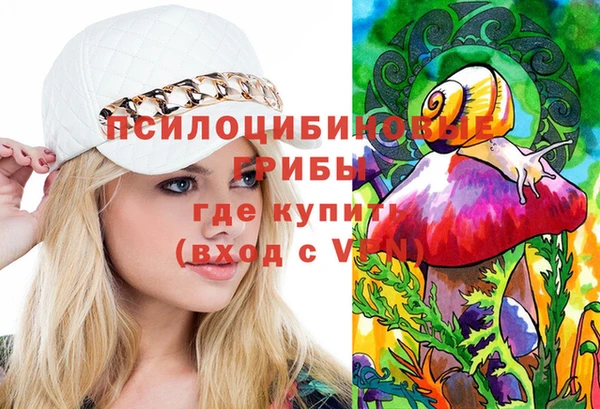 дмт Ельня