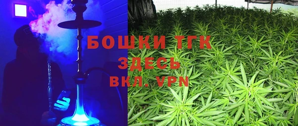 гашик Елизово