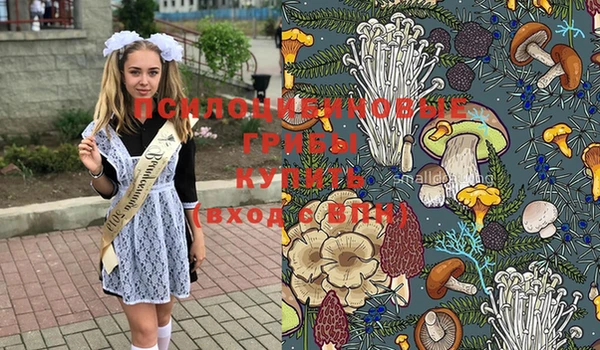 меф Елабуга