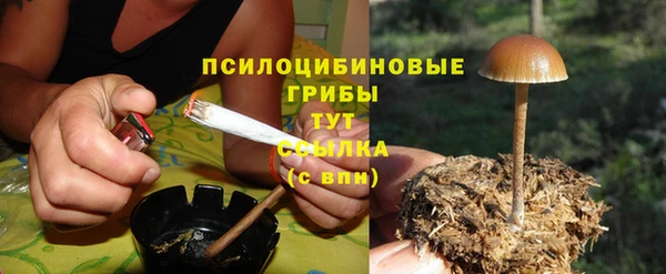 дмт Ельня