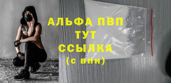 дмт Ельня