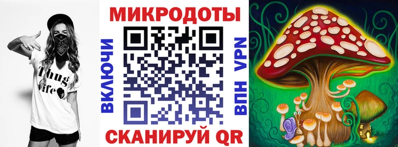площадка как зайти  Инсар  Псилоцибиновые грибы Psilocybine cubensis 